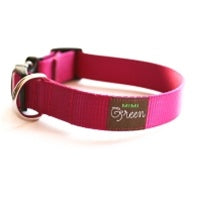 Mimi Green Raspberry Webbing Dog Collar