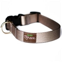 Mimi Green Slate Webbing Dog Collar