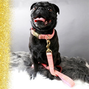 Mimi Green Rose Gold Linen Dog Collar - Posh Puppy Boutique