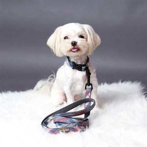 Mimi Green Blue Flannel PJs Dog Collar - Posh Puppy Boutique