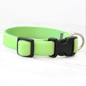 Mimi Green Gator Green Velvet Collars and Leashes - Posh Puppy Boutique