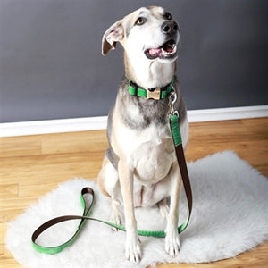Mimi Green 'Oscar' Green Velvet Collar - Posh Puppy Boutique