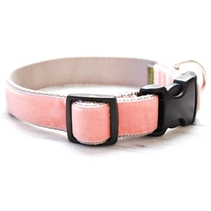 Mimi Green 'Peaches' Velvet Collar - Posh Puppy Boutique