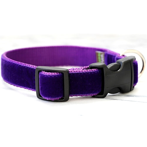 Mimi Green Prince Purple Velvet Collars and Leashes