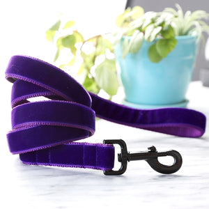 Mimi Green Prince Purple Velvet Collars and Leashes - Posh Puppy Boutique