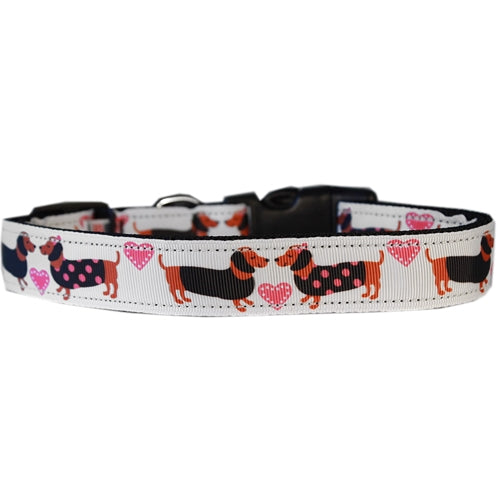 Pink Doxie Love Nylon Dog Collar
