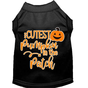 Cutest Pumpkin in the Patch Screen Print Dog Shirt in Many Colors - Posh Puppy Boutique
