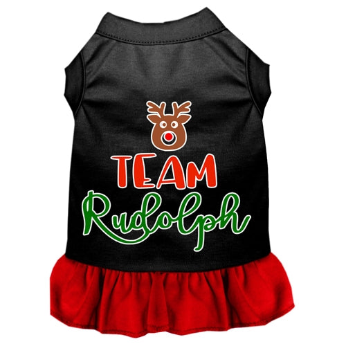 Team Rudolph Screen Print Dog Dress in Many Colors