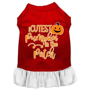 Cutest Pumpkin in the Patch Screen Print Dog Dress in Many Colors - Posh Puppy Boutique