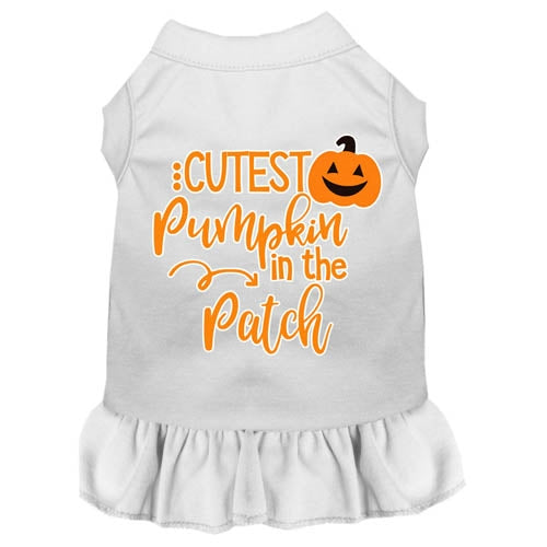 Cutest Pumpkin in the Patch Screen Print Dog Dress in Many Colors