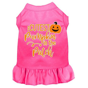 Cutest Pumpkin in the Patch Screen Print Dog Dress in Many Colors - Posh Puppy Boutique