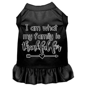I Am What My Family is Thankful For Screen Print Dog Dresses in Many Colors - Posh Puppy Boutique