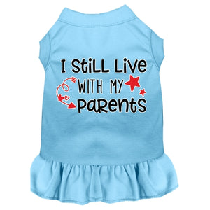 Still Live with my Parents Screen Print Dog Dress in Many Colors - Posh Puppy Boutique