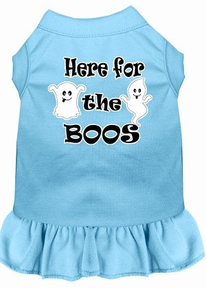 Here for the Boos Screen Print Dog Dress in Many Colors