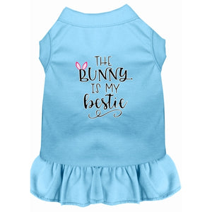 Bunny is my Bestie Screen Print Dog Dress in Many Colors - Posh Puppy Boutique