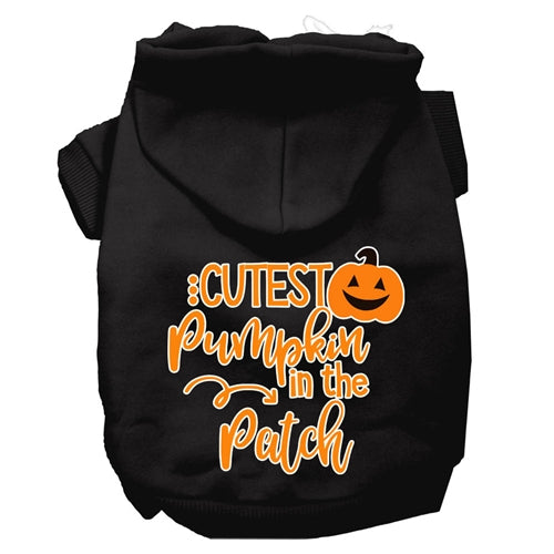 Cutest Pumpkin in the Patch Hoodie - Many Colors