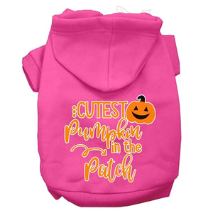 Cutest Pumpkin in the Patch Hoodie - Many Colors - Posh Puppy Boutique