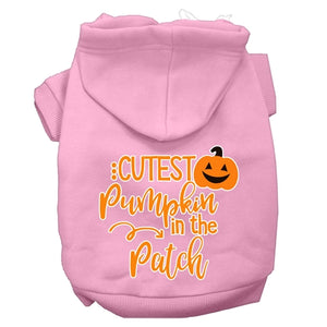 Cutest Pumpkin in the Patch Hoodie - Many Colors - Posh Puppy Boutique