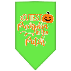 Cutest Pumpkin in the Patch Screen Print Bandana in Many Colors - Posh Puppy Boutique