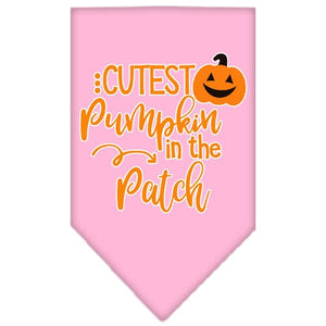 Cutest Pumpkin in the Patch Screen Print Bandana in Many Colors - Posh Puppy Boutique