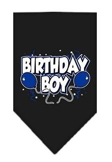 Birthday Boy Screen Print Bandana in Many Colors