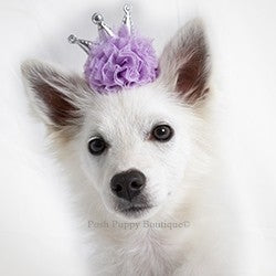 Fabulous Princess Puff Clip-on Hair Barrette-Peach - Posh Puppy Boutique