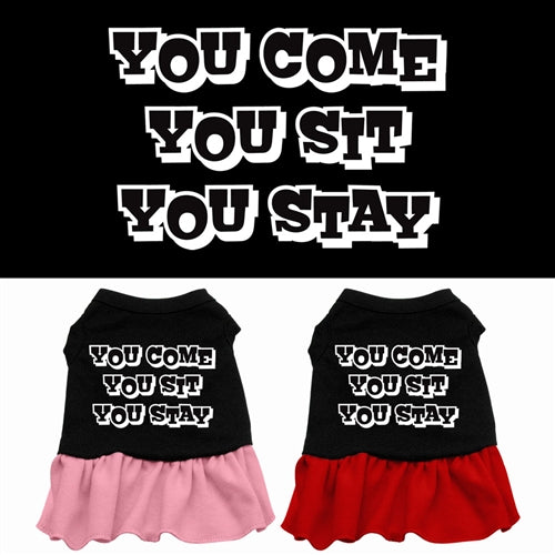 You Come, You Sit, You Stay Screen Print Dress