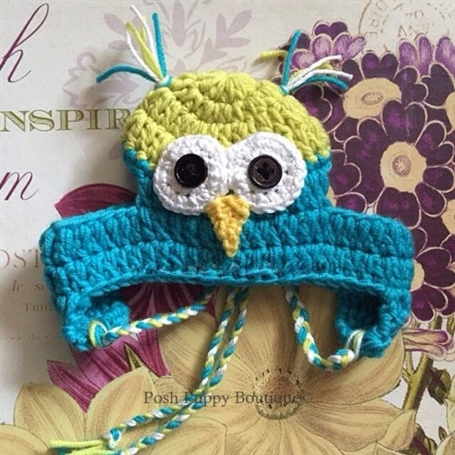 Couture Knit Hat- Open Eyes Owl in Lime Green-Turquoise
