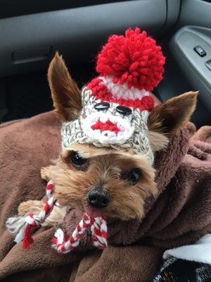 Couture Knit Hat-Sock Monkey Red - Posh Puppy Boutique
