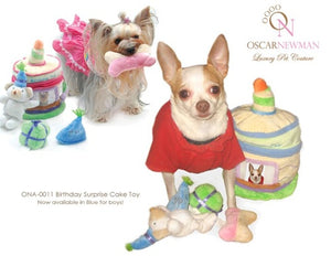 Birthday Surprise Cake Toy - Posh Puppy Boutique