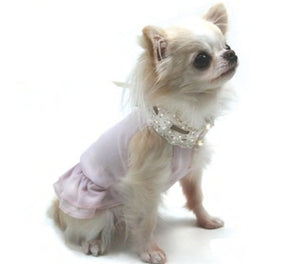 Sheer Bliss Dress - Posh Puppy Boutique