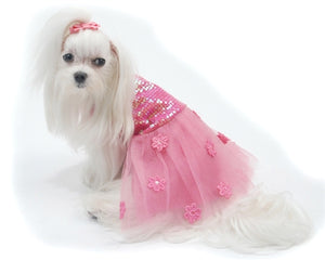 Hotter Than You Pink Dress - Posh Puppy Boutique