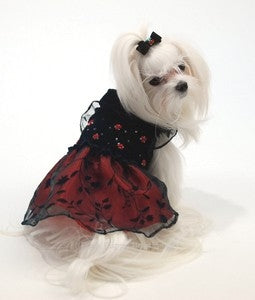 Midnight Gala Smocked Dress - Posh Puppy Boutique