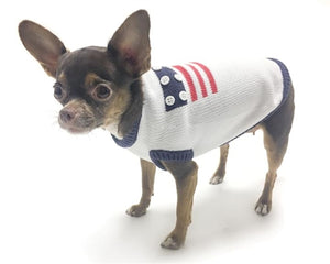 Patriotic Sweater - Posh Puppy Boutique