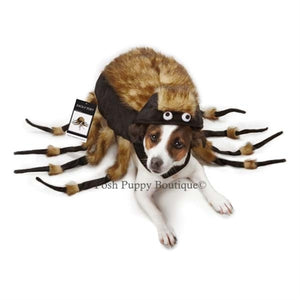 Fuzzy Tarantula Costume - Posh Puppy Boutique