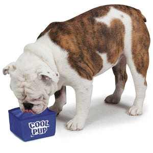 Cool Pup Portable Bowl - Posh Puppy Boutique