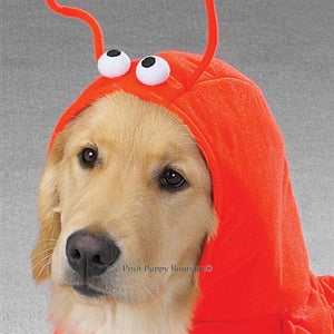 Lobster Paws Costume - Posh Puppy Boutique