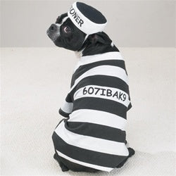 Prison Pooch Costume - Posh Puppy Boutique