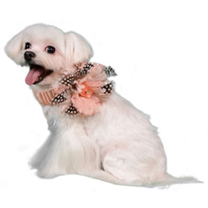 Florence Deco Collar - Posh Puppy Boutique