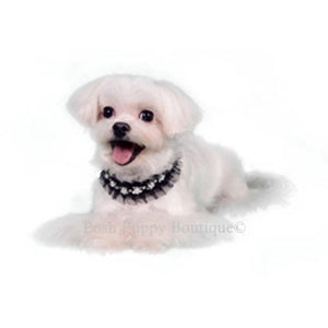 Lila Deco Collar Necklace - Posh Puppy Boutique