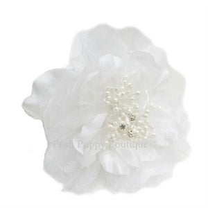 Victoria Collar Flower Slider - White - Posh Puppy Boutique
