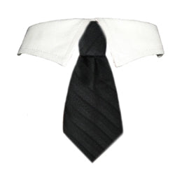 David Shirt Tie Collar - Posh Puppy Boutique