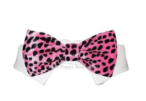 Roberto Velvet Bow Tie Collar - Pink - Posh Puppy Boutique