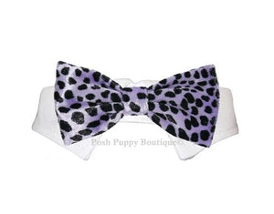 Roberto Velvet Bow Tie Collar - Purple - Posh Puppy Boutique