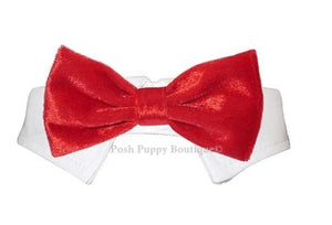 Valentino Velvet Bow Tie Collar - Red - Posh Puppy Boutique