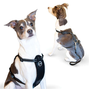 Travel Safety Harness - Posh Puppy Boutique