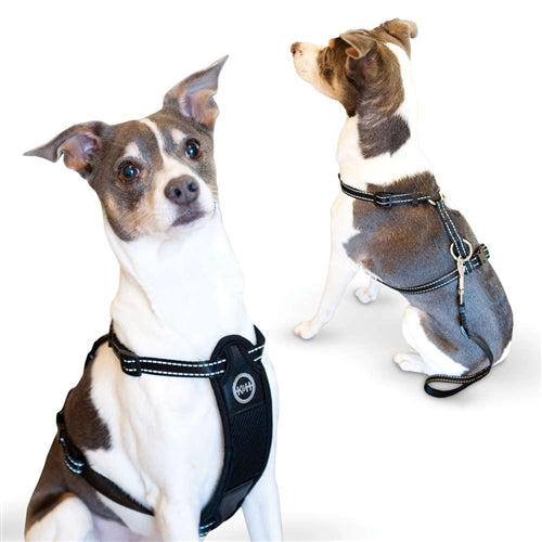 Travel Safety Harness