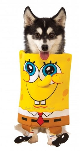 Spongebob Dog Costume - Posh Puppy Boutique