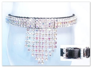 Hollywood Star in White Dog Collar - Posh Puppy Boutique