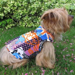 Tangerine Punk Dog Tee Shirt - Posh Puppy Boutique